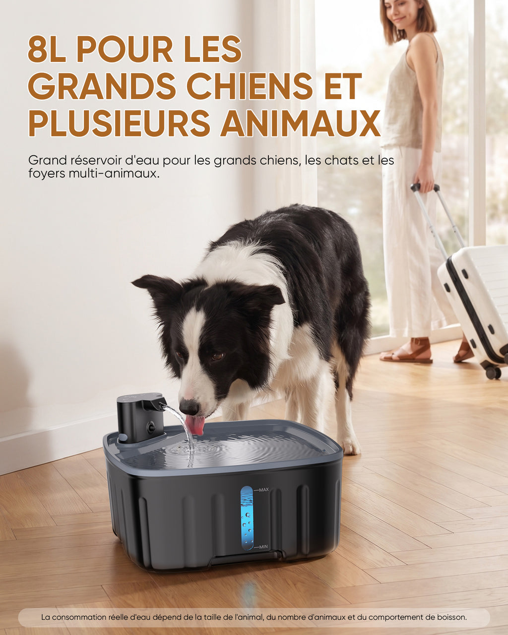 8L / 270oz Large Dog Family Pet Water Dispenser - Intelligent Wireless Sensor WF-G10Pro