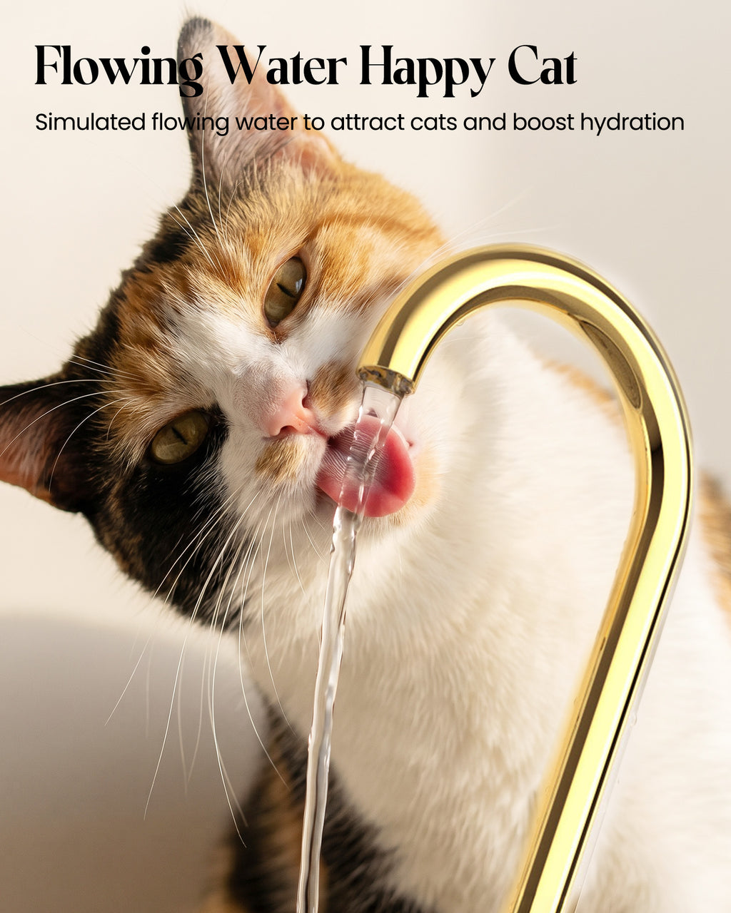 1.2L Ceramic Pet Water Dispenser WF-C02