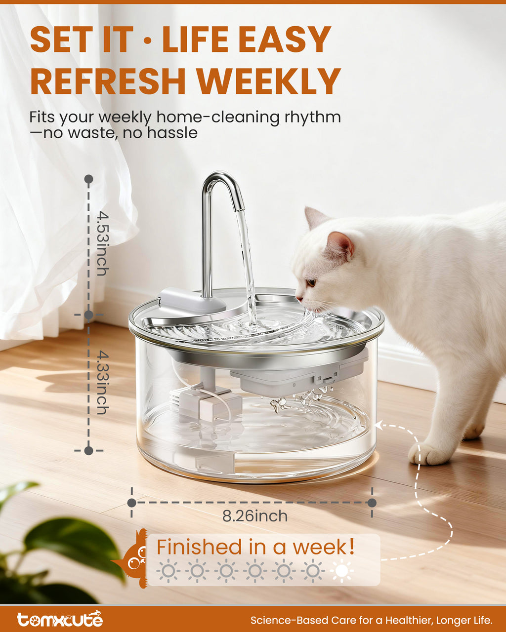 Tomxcute Glass Cat Water Fountain-84oz Dishwasher Safe Cat & Dog Fountain
