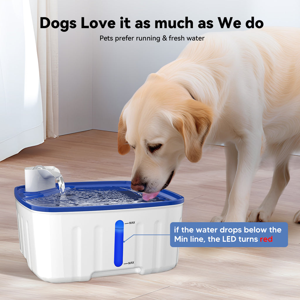 8L / 270oz Large Dog Pet Water Dispenser