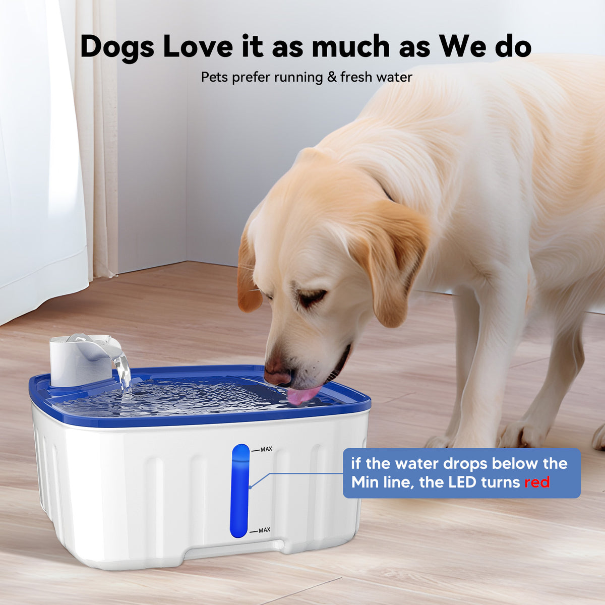 8L / 270oz Large Dog Pet Water Dispenser